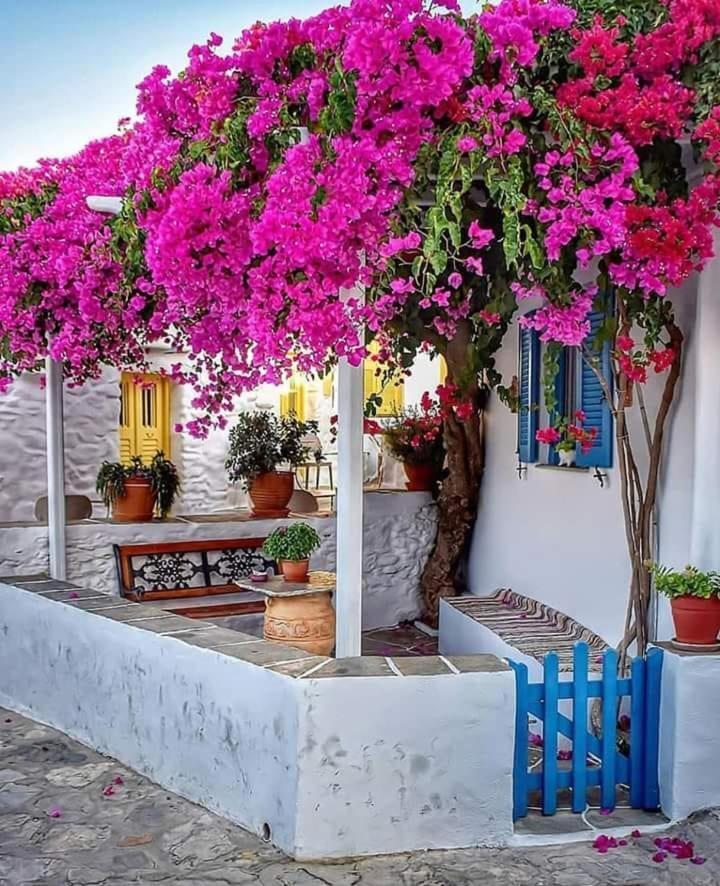 Taverne Inos 2* Laatzen